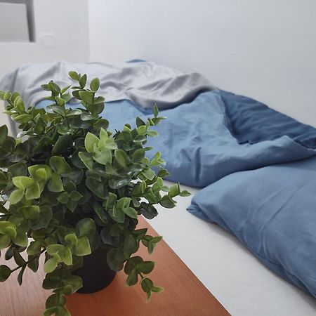 Central Retreat- Apartment Universitate Bucureşti Eksteriør bilde
