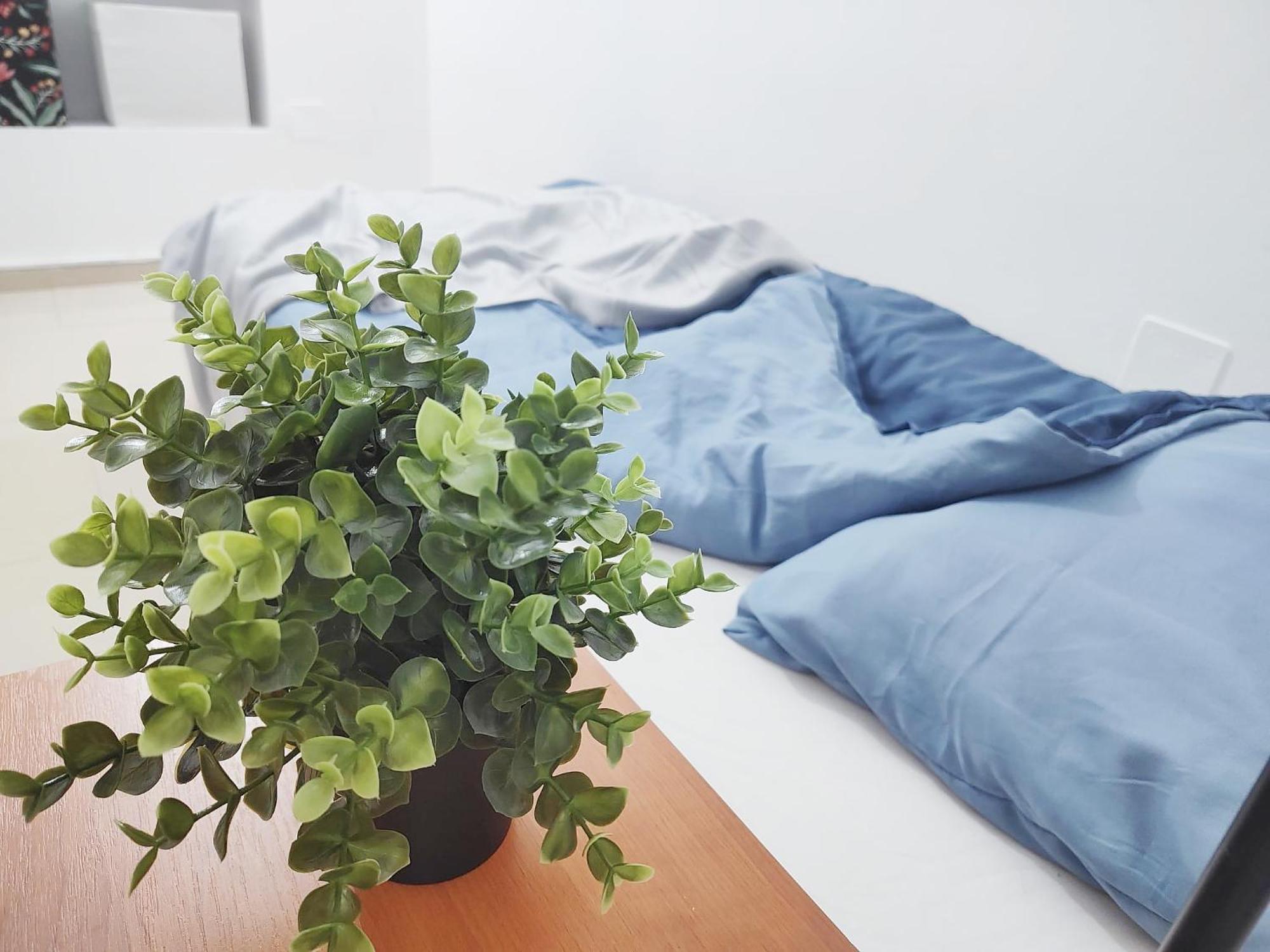 Central Retreat- Apartment Universitate Bucureşti Eksteriør bilde
